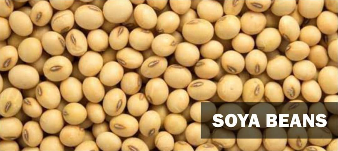 Premium Soya Beans & Agricultural Products