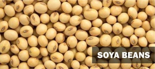 Premium Soya Beans & Agricultural Products